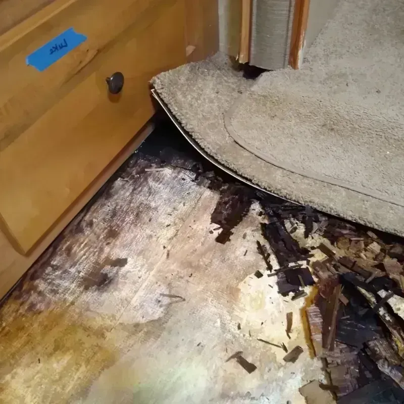 Wood Floor Water Damage in Saint Louis County, MO